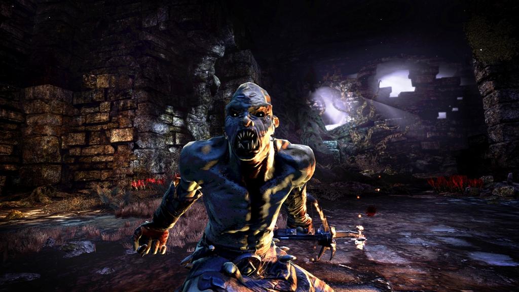 Hunted: The Demons Forge - PC (Steam) — screenshot 2