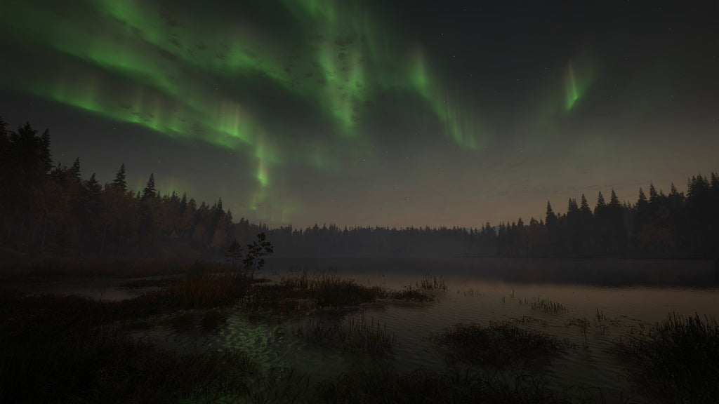 theHunter Call of the Wild - Revontuli Coast DLC - PC (Steam) — screenshot 2