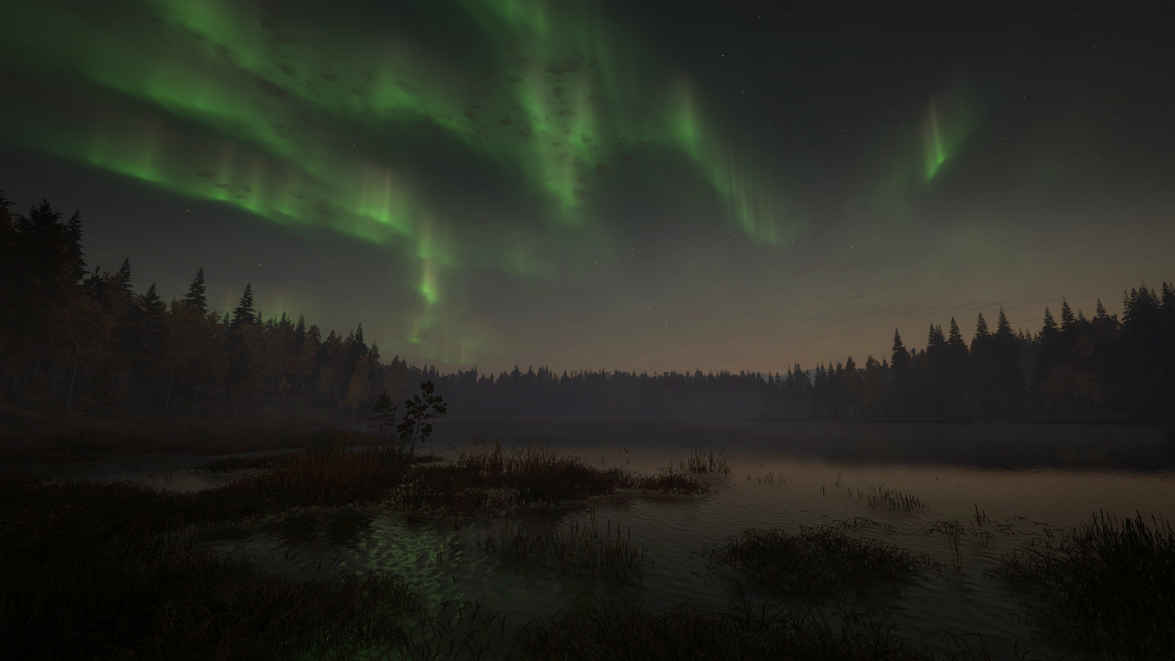 theHunter Call of the Wild - Revontuli Coast DLC - PC (Steam) — screenshot 2