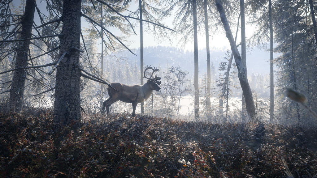 theHunter Call of the Wild - Medved Taiga DLC - PC (Steam) — screenshot 1