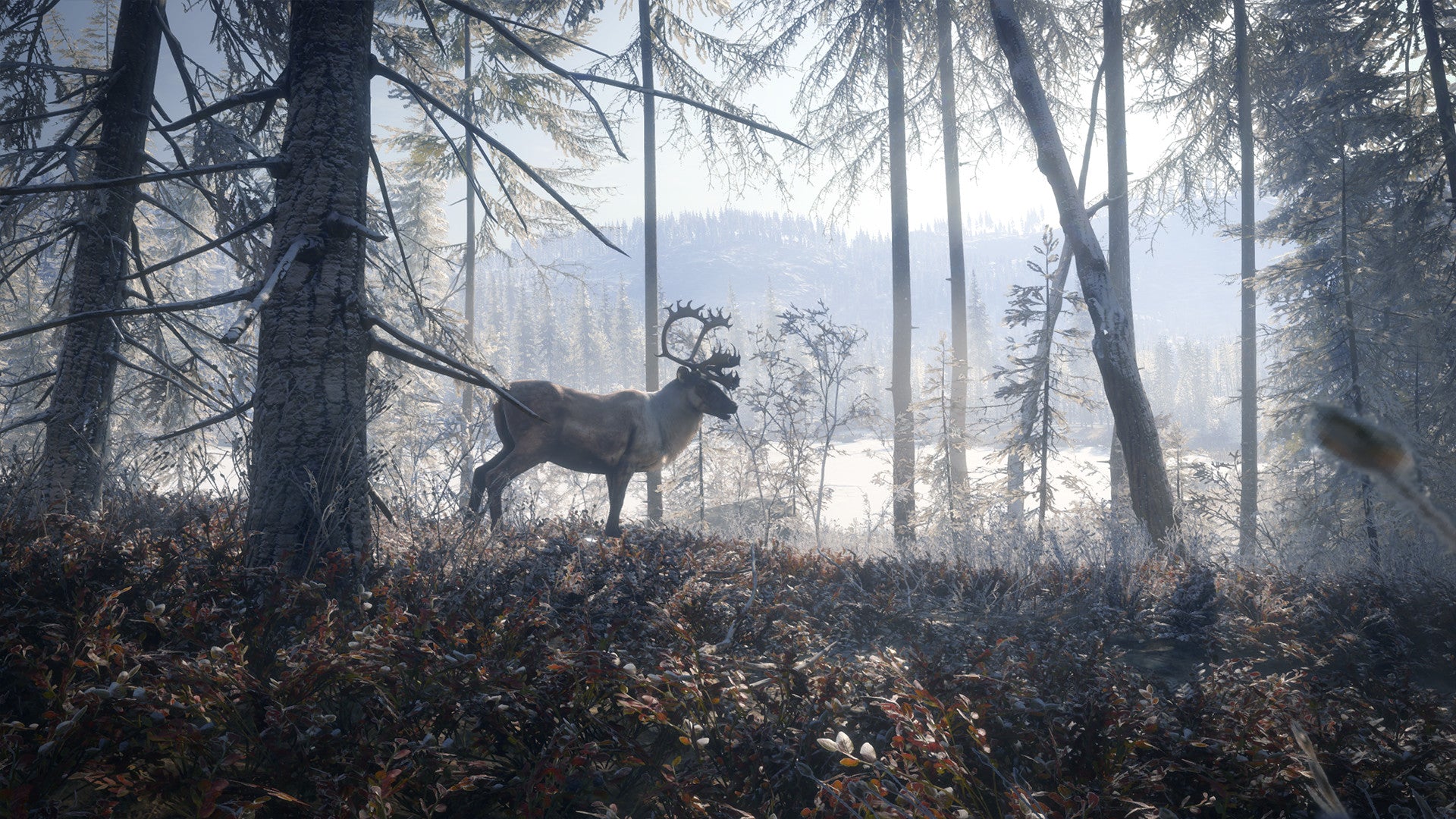 theHunter Call of the Wild - Medved Taiga DLC - PC (Steam) — screenshot 1