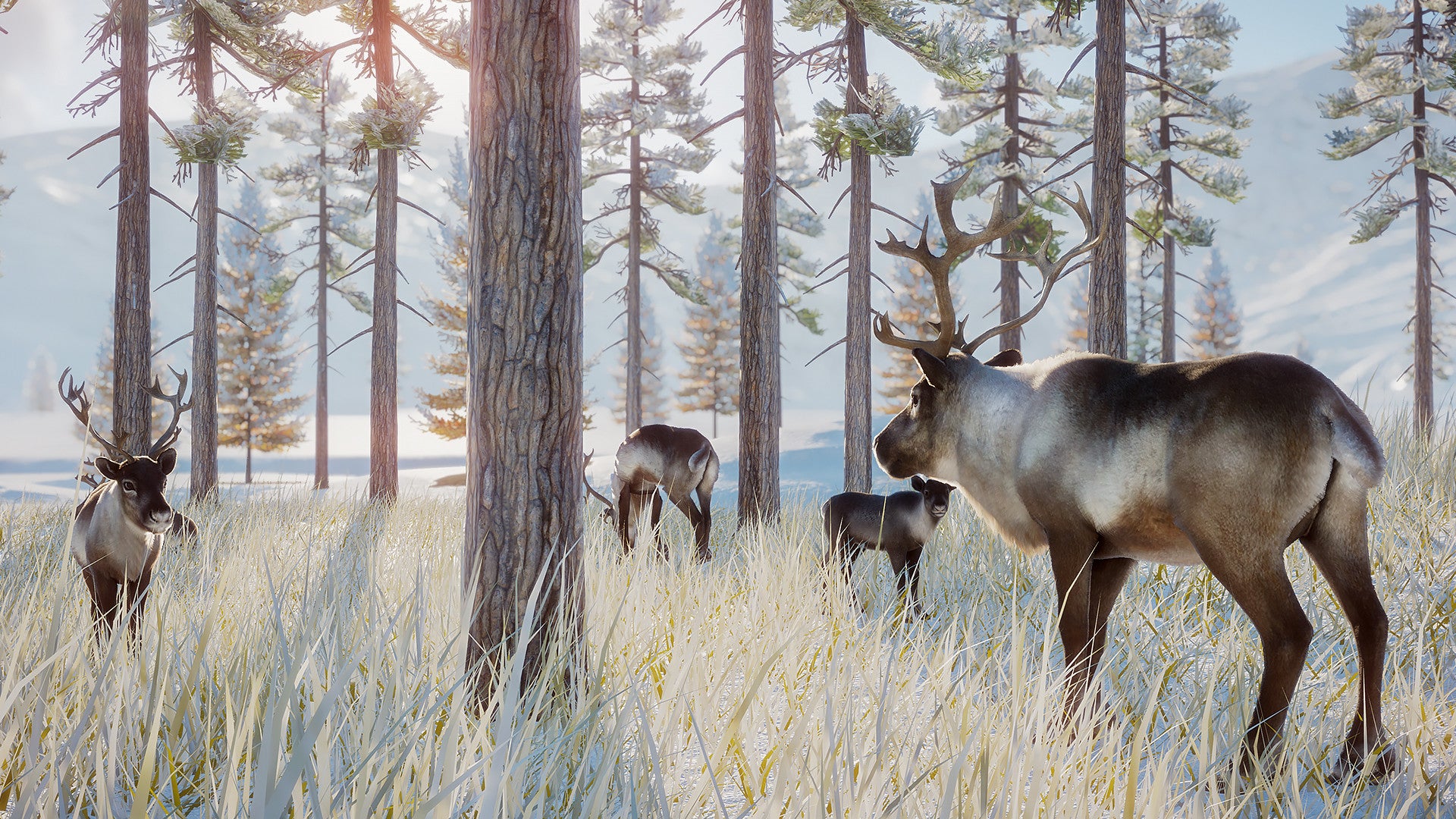 Planet Zoo: Arctic Pack DLC - PC (Steam) — screenshot 3