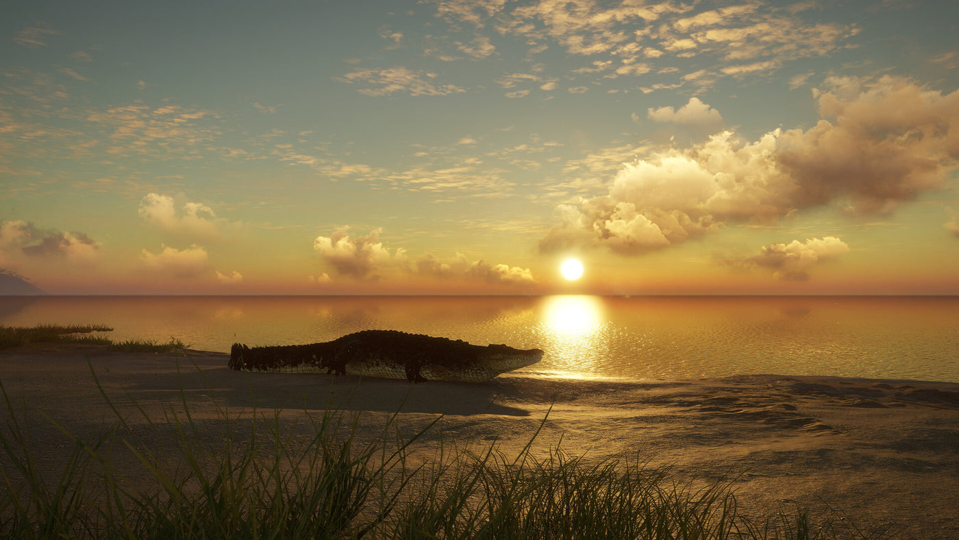 theHunter Call of the Wild - Emerald Coast Australia DLC - PC (Steam) — скриншот 2